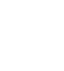 The Sour Schmidt • Artisan Bakery